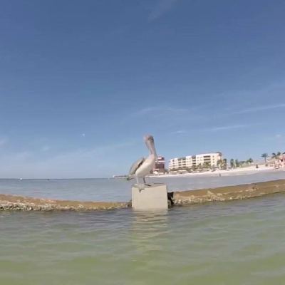 Florida