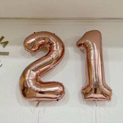 21. Reprezentačný ples