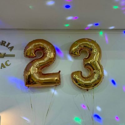 23. Reprezentačný ples