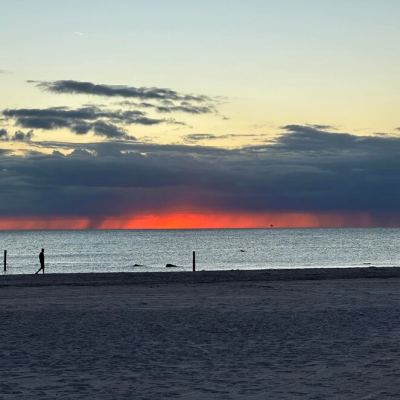 Florida 2024